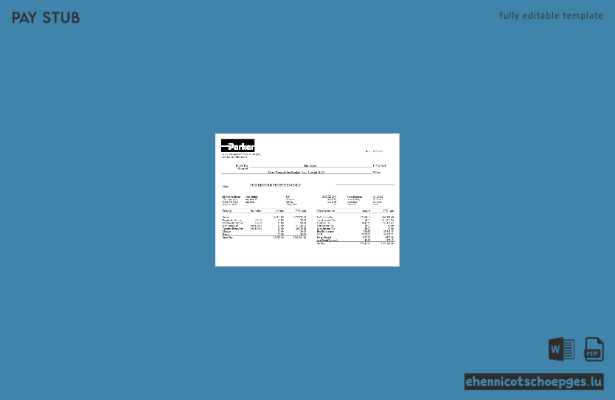 Gehaltsabrechnungsbeispiel der Ingenieurfirma Parker Hannifin (USA)